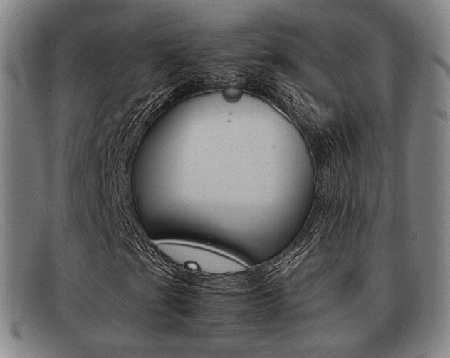 X0000092061201200709120959