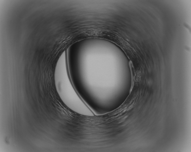 X0000092061202200709120959