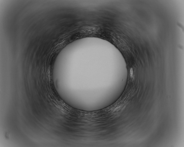 X0000092061203200709120959