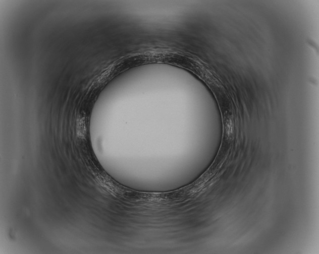 X0000092061204200709120959