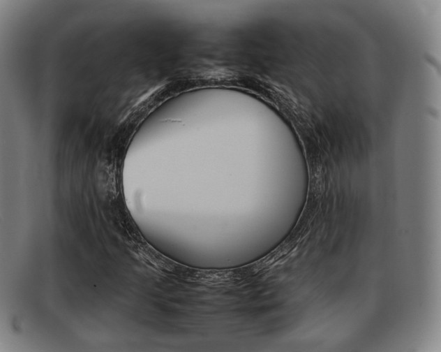 X0000092061205200709120959