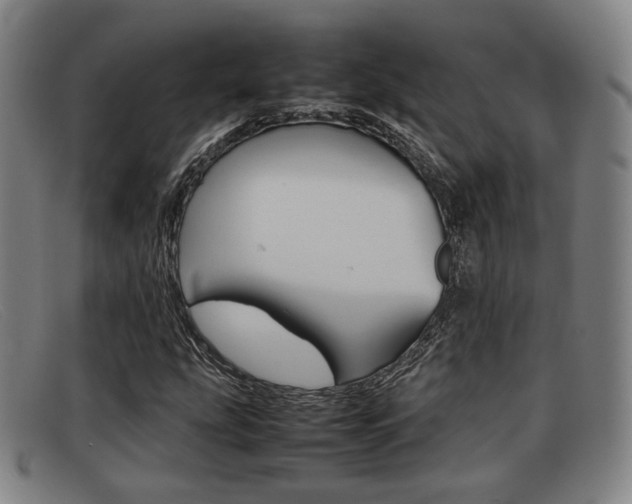 X0000092061207200709120959