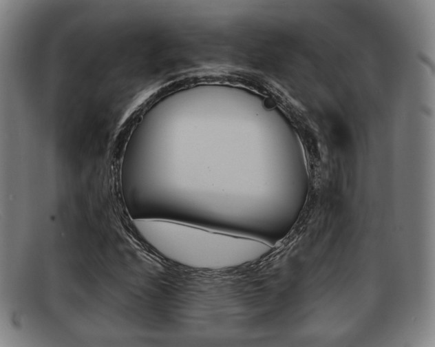 X0000092061208200709120959
