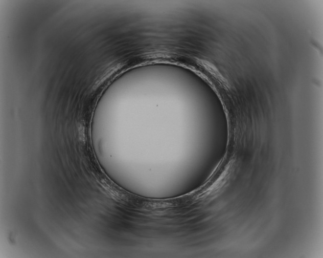 X0000092061209200709120959