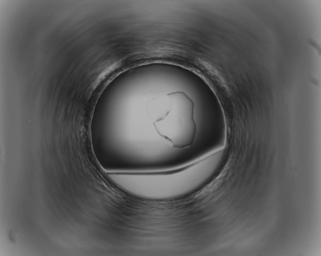 X0000092061210200709120959