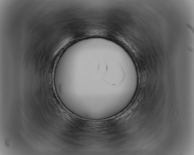 X0000092061211200709120959