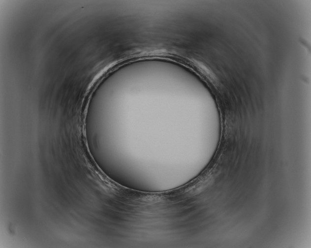 X0000092061212200709120959