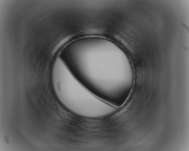 X0000092061213200709120959