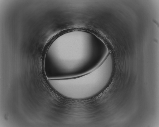 X0000092061214200709120959