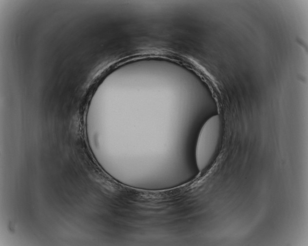 X0000092061215200709120959
