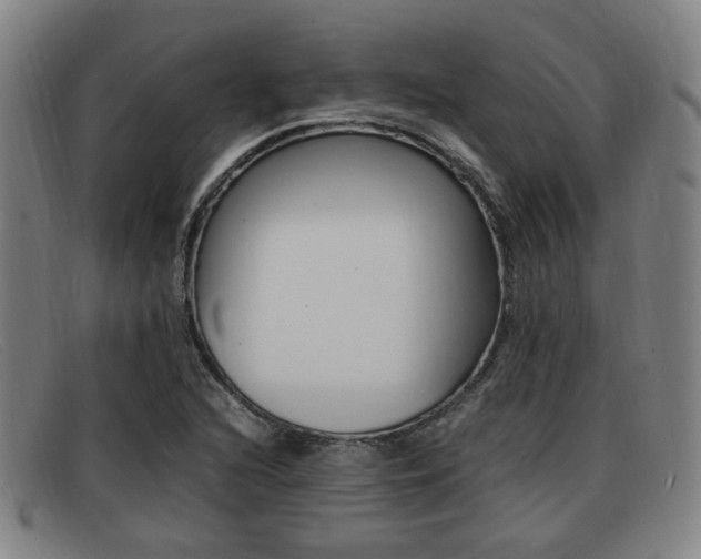 X0000092061216200709120959