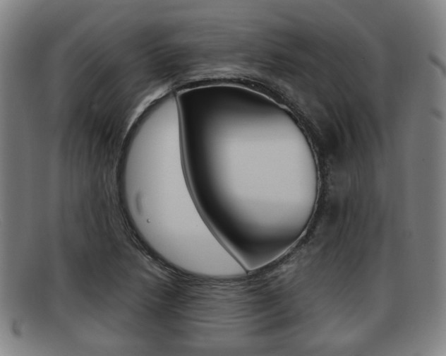 X0000092061218200709120959