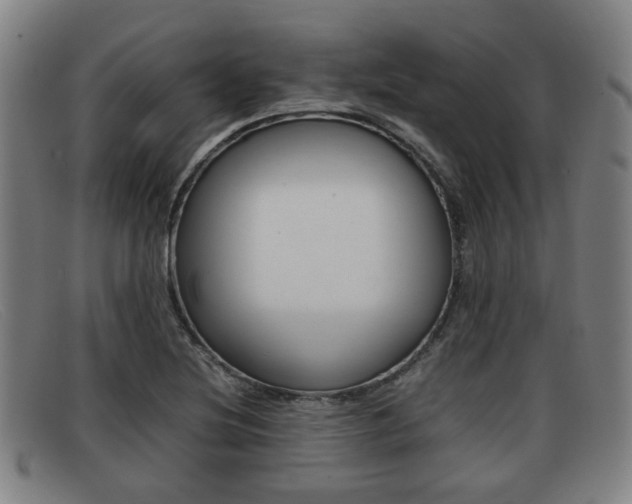 X0000092061220200709120959