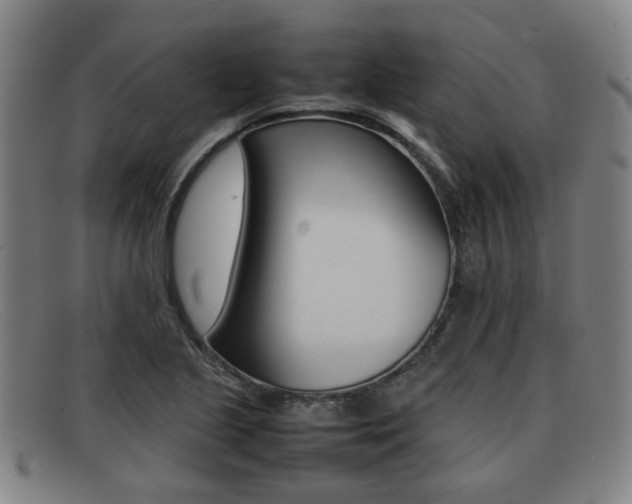 X0000092061221200709120959