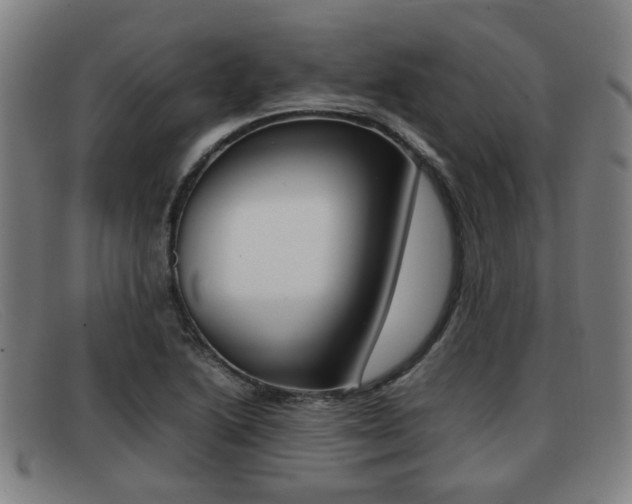 X0000092061222200709120959