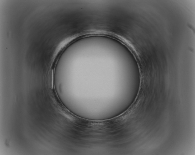 X0000092061223200709120959