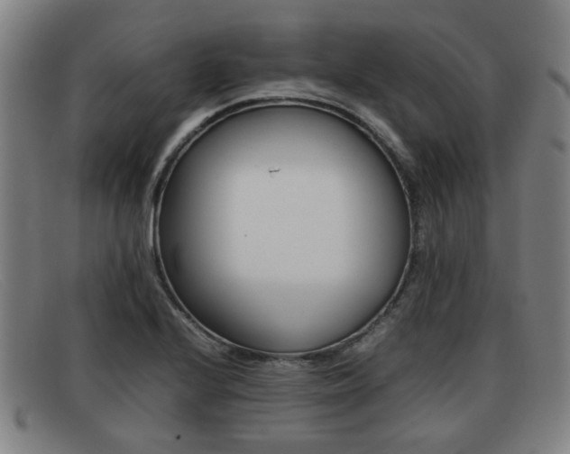 X0000092061224200709120959