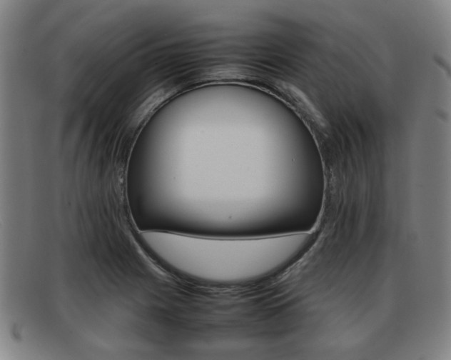 X0000092061225200709120959