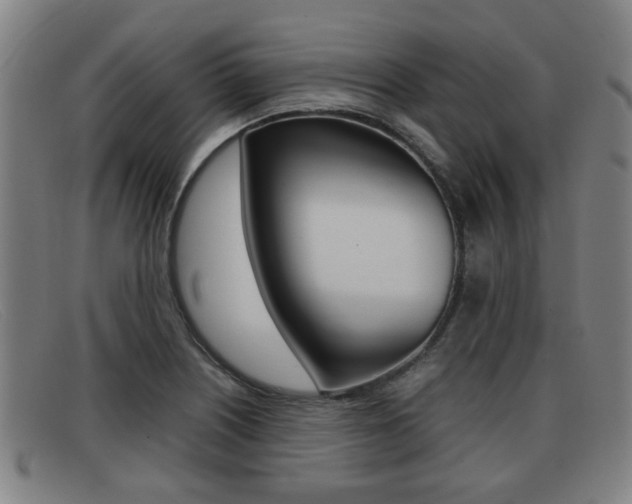 X0000092061226200709120959
