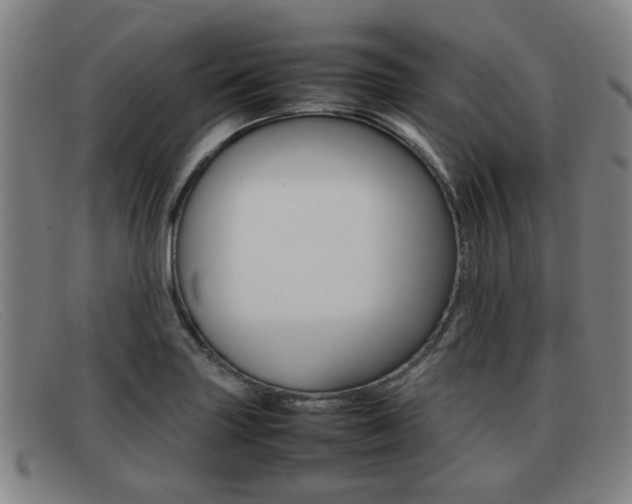 X0000092061227200709120959