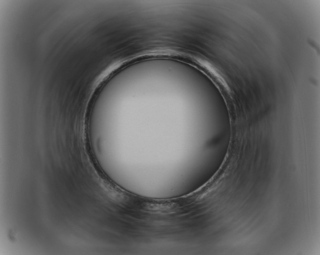 X0000092061229200709120959
