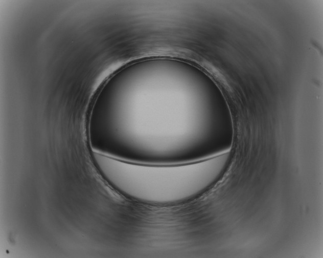 X0000092061230200709120959