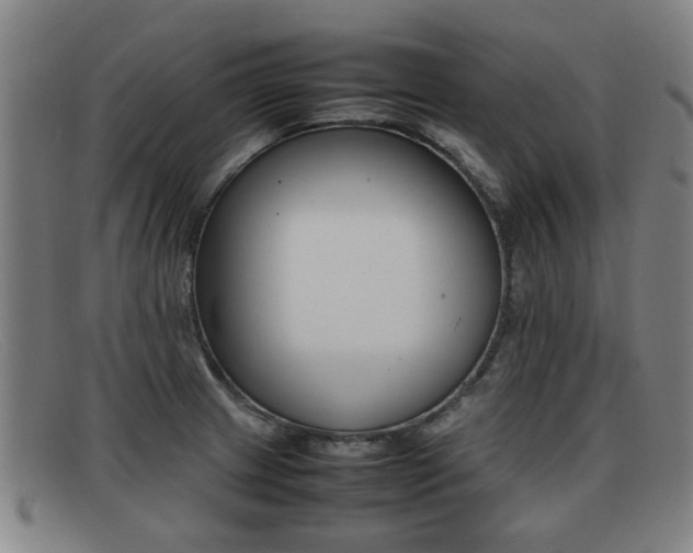 X0000092061233200709120959