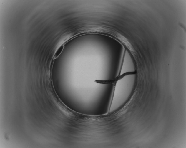 X0000092061234200709120959