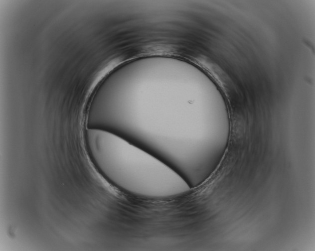 X0000092061235200709120959