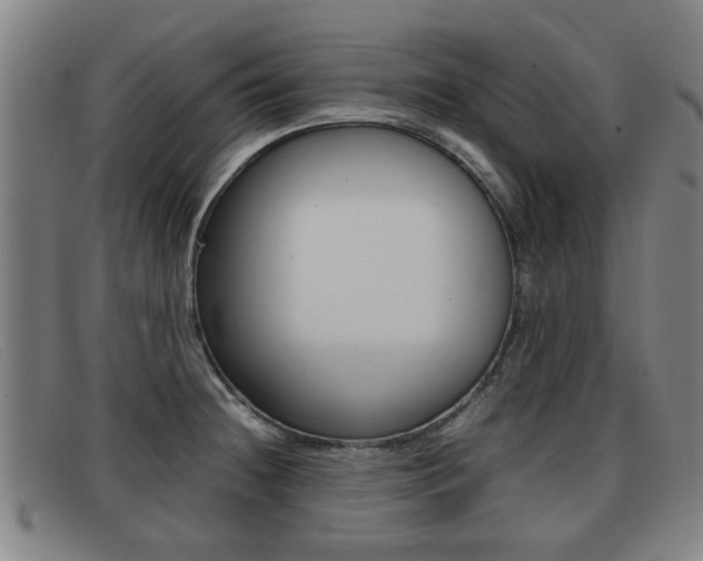 X0000092061236200709120959
