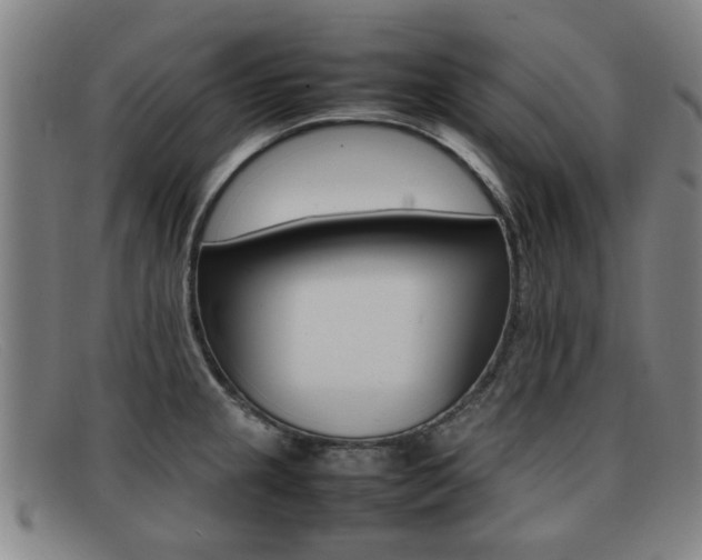 X0000092061237200709120959