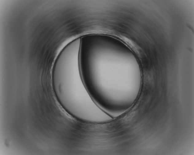 X0000092061238200709120959
