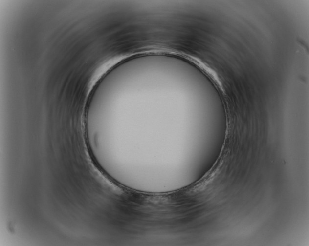 X0000092061239200709120959