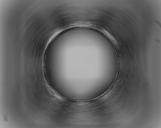 X0000092061240200709120959