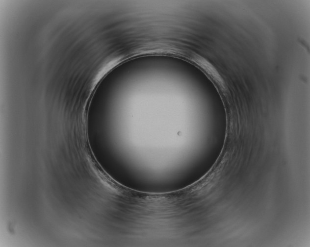 X0000092061242200709120959