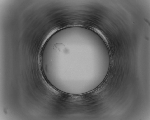 X0000092061243200709120959