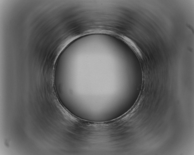 X0000092061244200709120959
