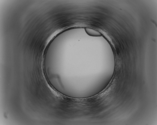 X0000092061245200709120959