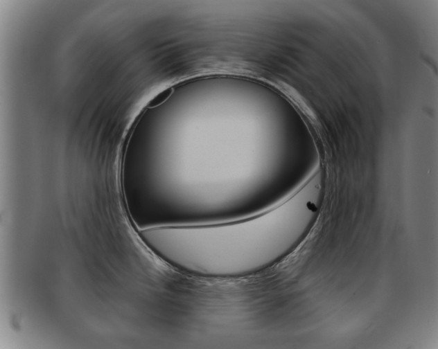 X0000092061246200709120959