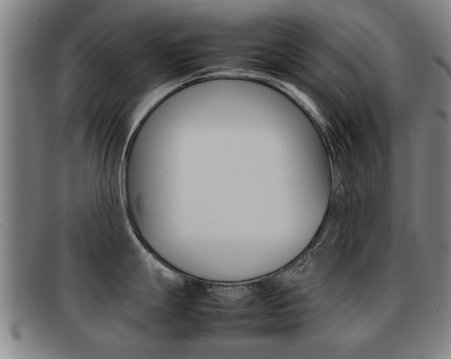 X0000092061247200709120959