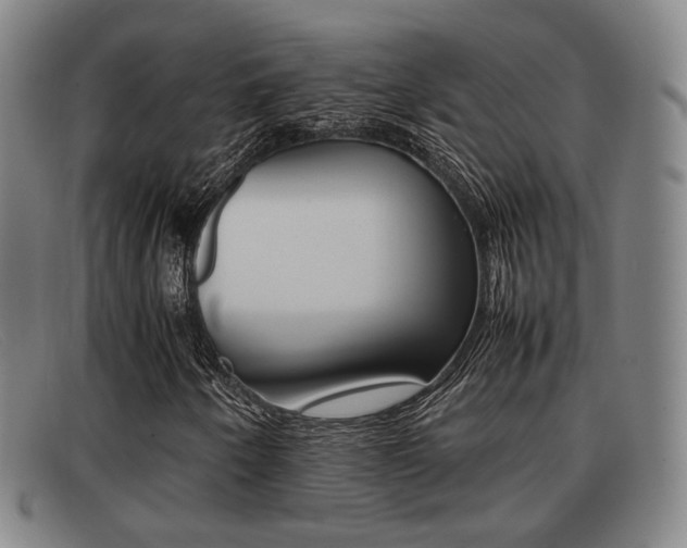 X0000092061250200709120959