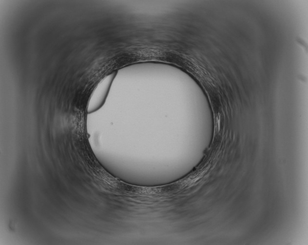 X0000092061251200709120959