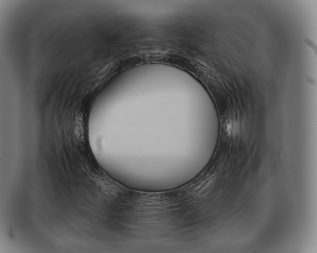 X0000092061252200709120959