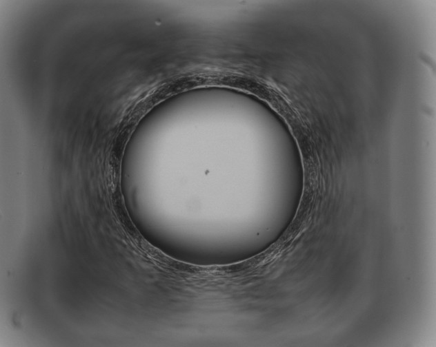X0000092061253200709120959
