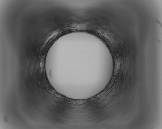 X0000092061254200709120959
