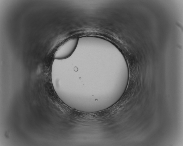 X0000092061255200709120959