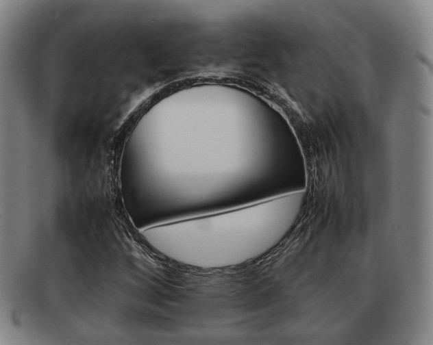 X0000092061256200709120958