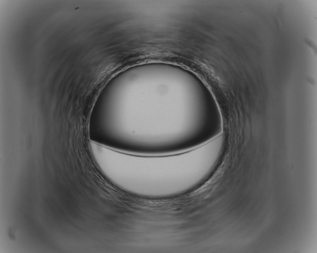 X0000092061257200709120958
