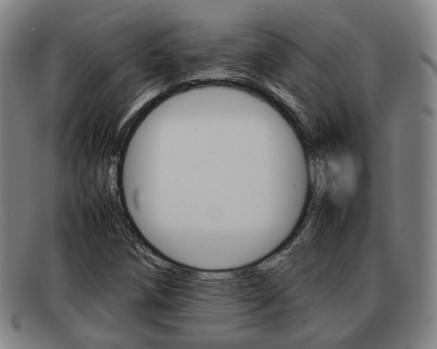 X0000092061258200709120958
