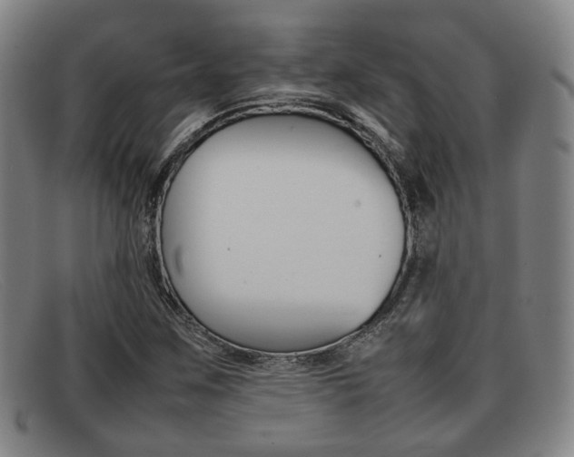 X0000092061259200709120958